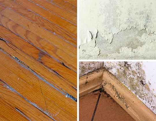 A collage of interior water and mold damage on floors, walls, and baseboards