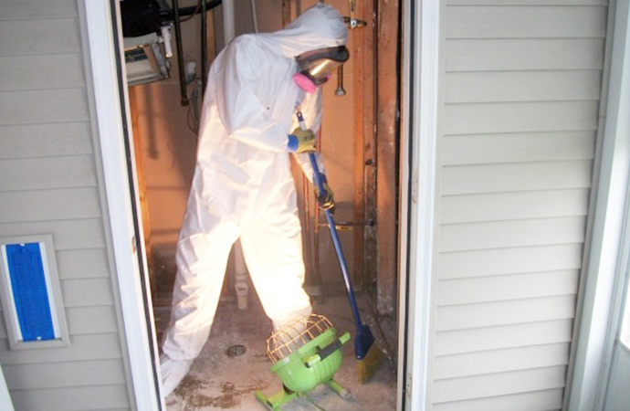 mold remediation by a professional