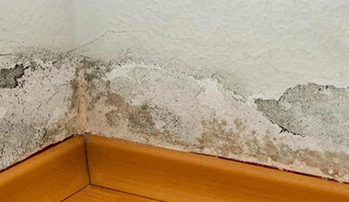 Structural deterioration