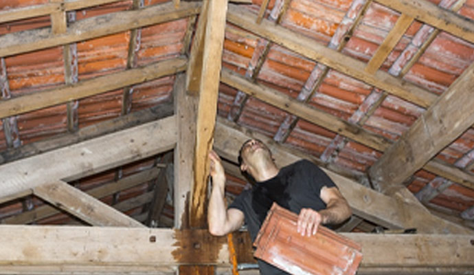 Water damaged attic restoration service