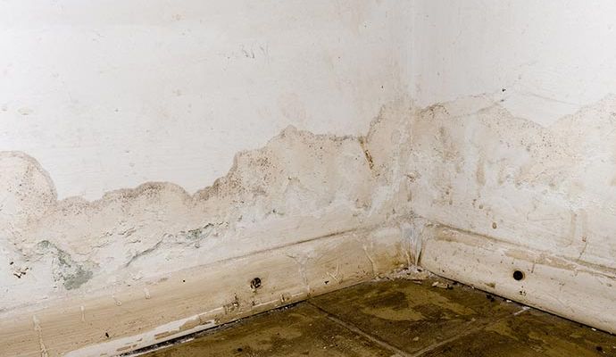 Water damaged drywall