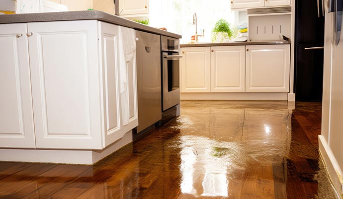 Water damaged floor due to appliance leak Water damaged floor due to appliance leak
