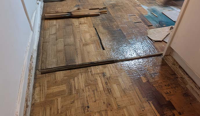 Water damaged hardwood floor