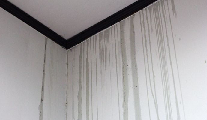 Water damaged wall
