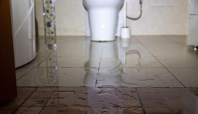 Wet toilet floor due to sewage overflow