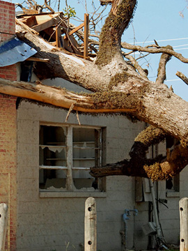 Wind Damage Restoration Board up Restoration