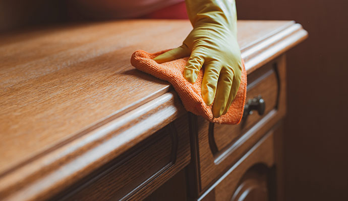 Furniture Cleaning and Restoration in Michigan